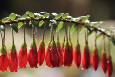 深圳龙岗区2私人快速借钱网，轻松解决资金难题
