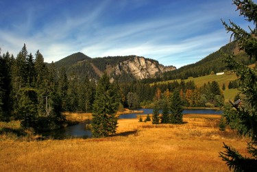 深圳龙岗区2民间私贷攻略：揭秘低成本借贷的秘密