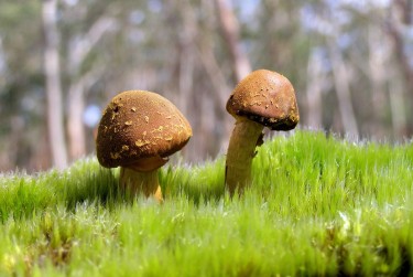 深圳龙岗区2私人老板放款：轻松融资的秘密通道